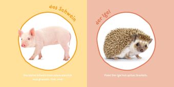 Baby Pixi (unkaputtbar) 183: Mein Baby-Pixi-Buggybuch: Meine ersten Tiere