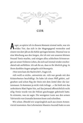 Stadt der Hexer und Betrüger (Stadt der Magier 3)