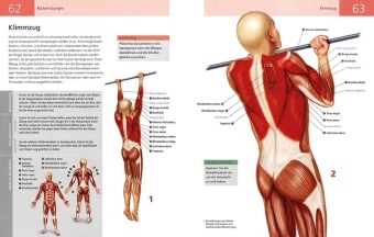 Die Anatomie von Stretching und Fitness