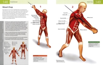 Die Anatomie von Stretching und Fitness