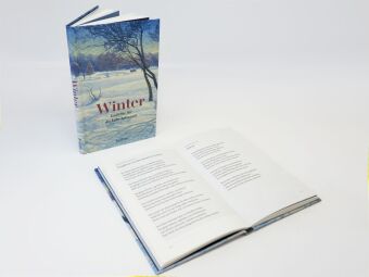 Winter. Gedichte für die kalte Jahreszeit
