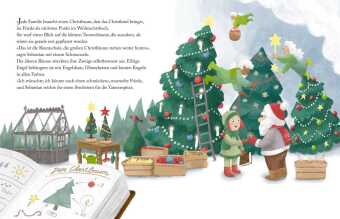Friedas Weihnachten. Bilderbuch