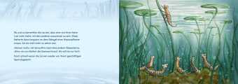 Von Larven und Libellen. Bilderbuch