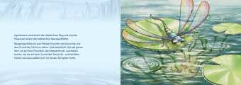 Von Larven und Libellen. Bilderbuch