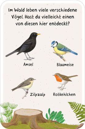 50 Entdeckerkarten - Suchspiele in der Natur