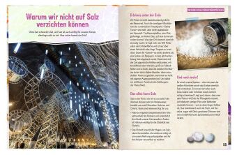 Erforsche Steine & Mineralien - Verborgene Schätze der Erde