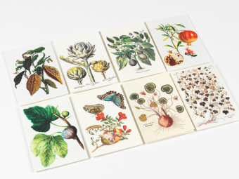 Natural History