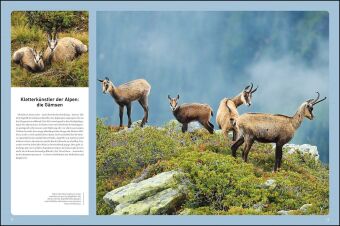 KUNTH Bildband Wilde Alpen