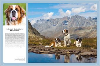 KUNTH Bildband Wilde Alpen