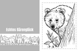 Bärenträume - Entspannung - Natur - Achtsamkeit