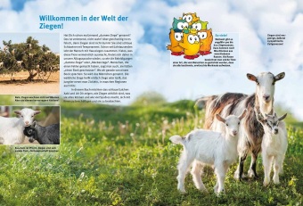 Entdecke die Ziegen
