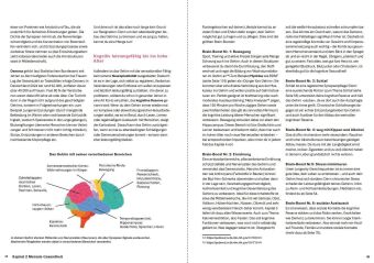Der Women's Health Longevity-Code