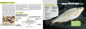 Angler-Lexikon der Süßwasserfische