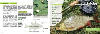 Angler-Lexikon der Süßwasserfische