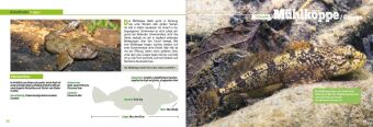 Angler-Lexikon der Süßwasserfische