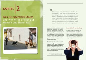 Hundeerziehung mit Holger Schüler Ohne Stress zu einer guten Beziehung
