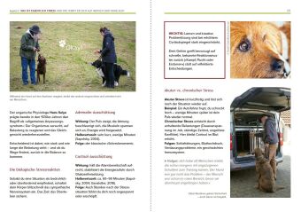 Hundeerziehung mit Holger Schüler Ohne Stress zu einer guten Beziehung