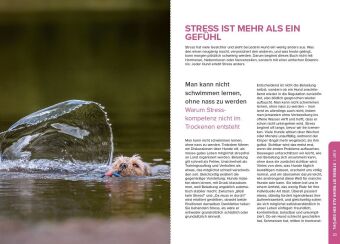 Stress beim Hund verstehen