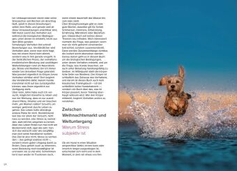 Stress beim Hund verstehen