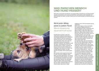 Stress beim Hund verstehen