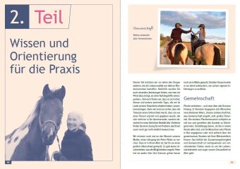 Reiten mit Lebenserfahrung