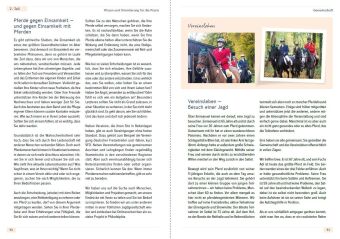 Reiten mit Lebenserfahrung