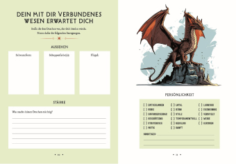 Fourth Wing: The Rider Files - Das offizielle Activity- und Stickerbuch