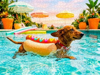 CALVENDO Puzzle Dackel im Hotdog Schwimmanzug im Pool | 1000 Teile Lege-Größe 64x48cm Foto-Puzzle für glückliche Stunden