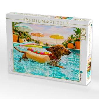 CALVENDO Puzzle Dackel im Hotdog Schwimmanzug im Pool | 1000 Teile Lege-Größe 64x48cm Foto-Puzzle für glückliche Stunden