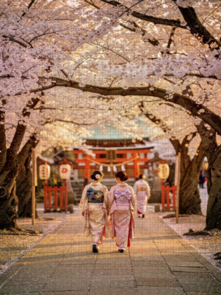 CALVENDO Puzzle Japanische Ästhetik | 1000 Teile Lege-Größe 64x48cm Foto-Puzzle für glückliche Stunden