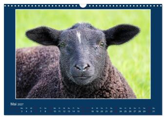 Dangast. Impressionen eines besonderen Ortes. (Wandkalender 2027 DIN A3 quer), CALVENDO Monatskalender