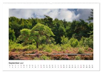 Steinhuder Meer Impressionen (Wandkalender 2027 DIN A2 quer), CALVENDO Monatskalender