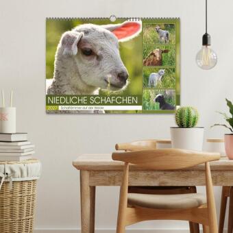 Niedliche Schäfchen (Wandkalender 2027 DIN A3 quer), CALVENDO Monatskalender