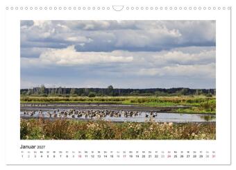 Steinhuder Meer Impressionen (Wandkalender 2027 DIN A3 quer), CALVENDO Monatskalender