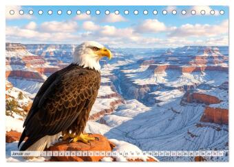 USA - von Yellowstone bis Texas - Cowboys, Prärie und Bisons (Tischkalender 2027 DIN A5 quer), CALVENDO Monatskalender