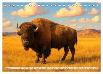USA - von Yellowstone bis Texas - Cowboys, Prärie und Bisons (Tischkalender 2027 DIN A5 quer), CALVENDO Monatskalender