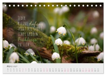 Sanfte Blüten, leise Worte (Tischkalender 2027 DIN A5 quer), CALVENDO Monatskalender