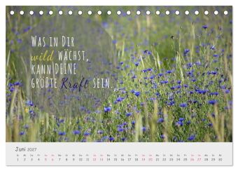 Sanfte Blüten, leise Worte (Tischkalender 2027 DIN A5 quer), CALVENDO Monatskalender