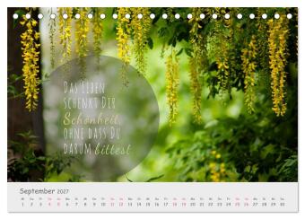 Sanfte Blüten, leise Worte (Tischkalender 2027 DIN A5 quer), CALVENDO Monatskalender