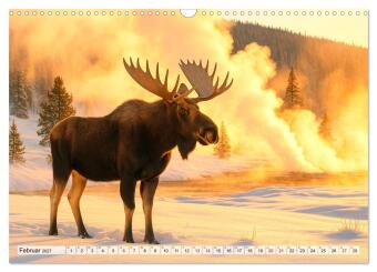 USA - von Yellowstone bis Texas - Cowboys, Prärie und Bisons (Wandkalender 2027 DIN A3 quer), CALVENDO Monatskalender