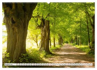 Willkommen im Burgenlandkreis (hochwertiger Premium Wandkalender 2027 DIN A2 quer), Kunstdruck in Hochglanz