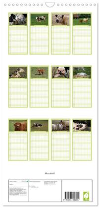 Familienplaner 2027 - Muuuhhh! mit 5 Spalten (Wandkalender, 21 x 45 cm) CALVENDO