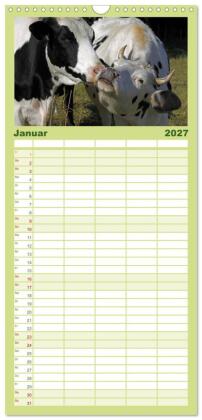 Familienplaner 2027 - Muuuhhh! mit 5 Spalten (Wandkalender, 21 x 45 cm) CALVENDO