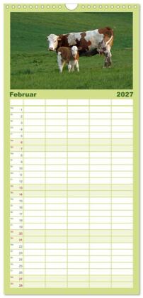 Familienplaner 2027 - Muuuhhh! mit 5 Spalten (Wandkalender, 21 x 45 cm) CALVENDO