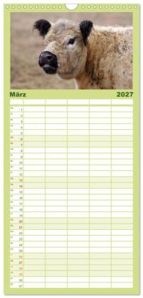 Familienplaner 2027 - Muuuhhh! mit 5 Spalten (Wandkalender, 21 x 45 cm) CALVENDO