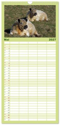 Familienplaner 2027 - Muuuhhh! mit 5 Spalten (Wandkalender, 21 x 45 cm) CALVENDO
