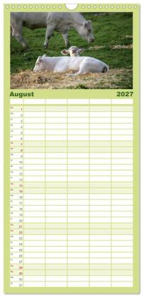 Familienplaner 2027 - Muuuhhh! mit 5 Spalten (Wandkalender, 21 x 45 cm) CALVENDO