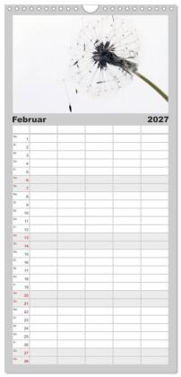 Familienplaner 2027 - Filigrane Pusteblumen / Geburtstagskalender mit 5 Spalten (Wandkalender, 21 x 45 cm) CALVENDO