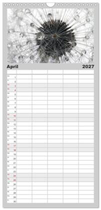 Familienplaner 2027 - Filigrane Pusteblumen / Geburtstagskalender mit 5 Spalten (Wandkalender, 21 x 45 cm) CALVENDO