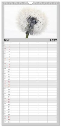 Familienplaner 2027 - Filigrane Pusteblumen / Geburtstagskalender mit 5 Spalten (Wandkalender, 21 x 45 cm) CALVENDO